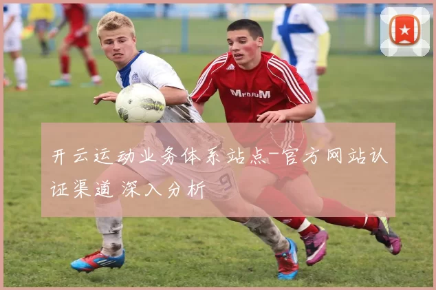 开云运动业务体系站点-官方网站认证渠道 深入分析