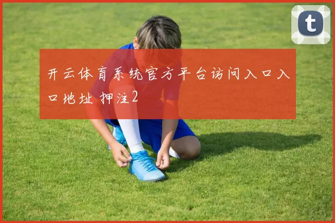 开云体育系统官方平台访问入口入口地址 押注2