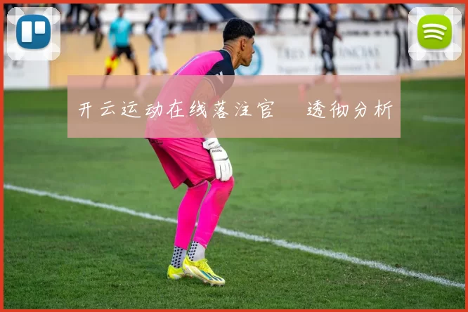 开云运动在线落注官網 透彻分析