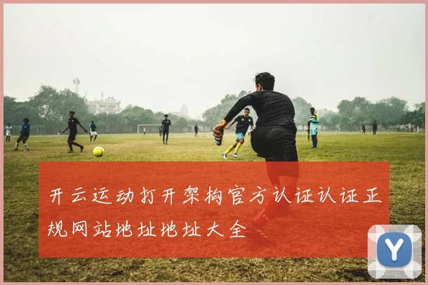 开云运动打开架构官方认证认证正规网站地址地址大全
